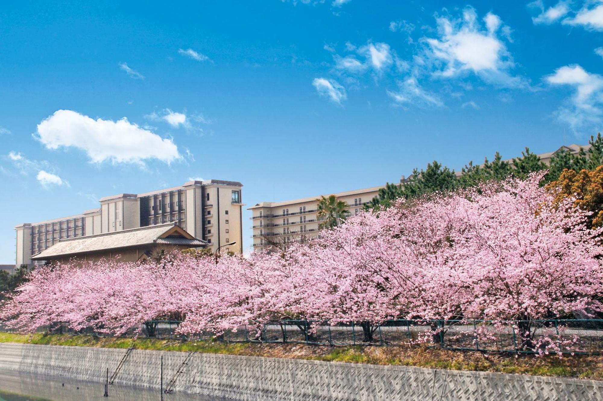 Ryugujo Spa Hotel Mikazuki Fujimitei Kisarazu Ngoại thất bức ảnh